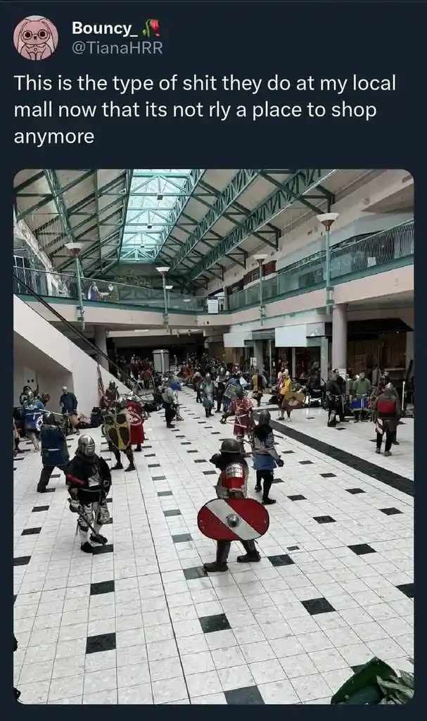 A wide-angle photo shows dozens of people dressed in full medieval-style armor and carrying shields and swords, walking and…