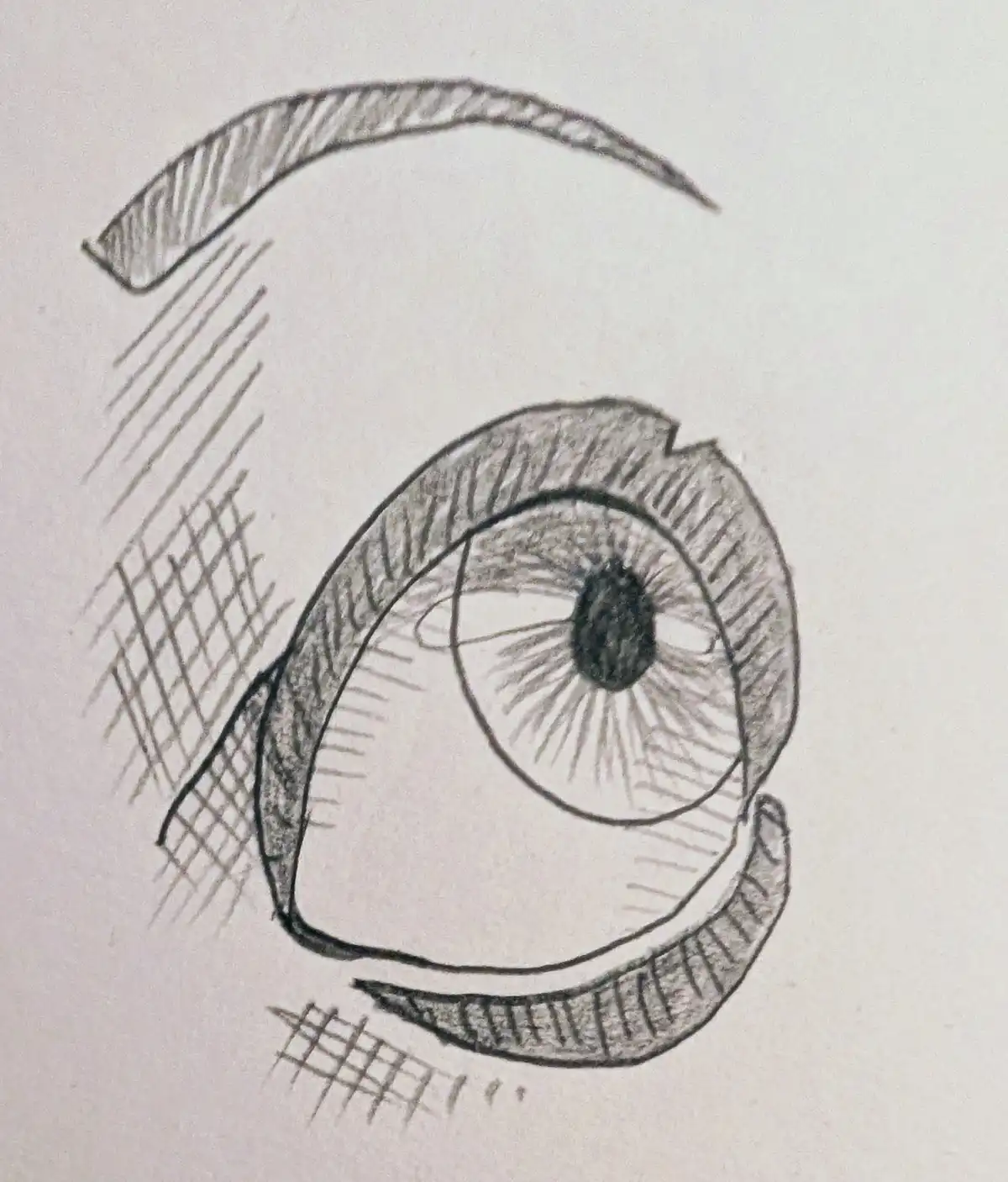 A hand-drawn pencil sketch of a single human eye with a thick eyebrow above and eyelashes below, shaded with cross-hatching…