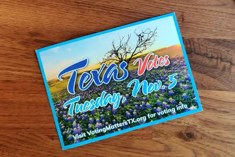A political flyer for Texas voting on Tuesday, November 5, featuring a scenic image of bluebonnets and a bare tree at…