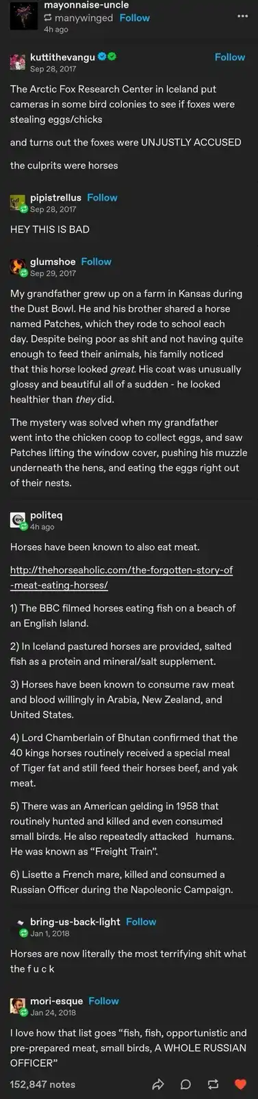 A screenshot of a social media thread where users discuss a story about horses being wrongly accused of stealing eggs from…