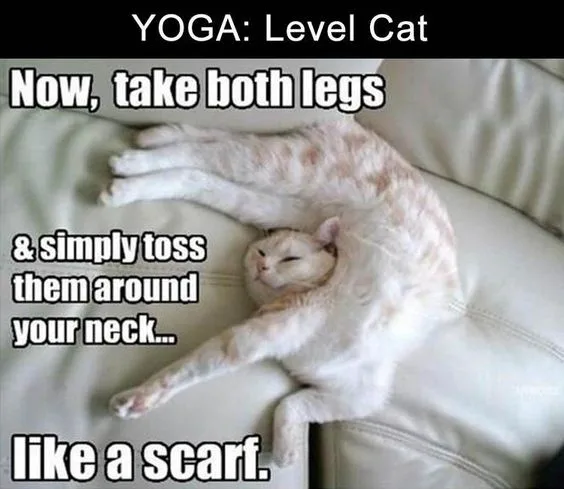 A white and orange tabby cat is lying on a light-colored couch, its legs stretched out and draped around its neck in a…