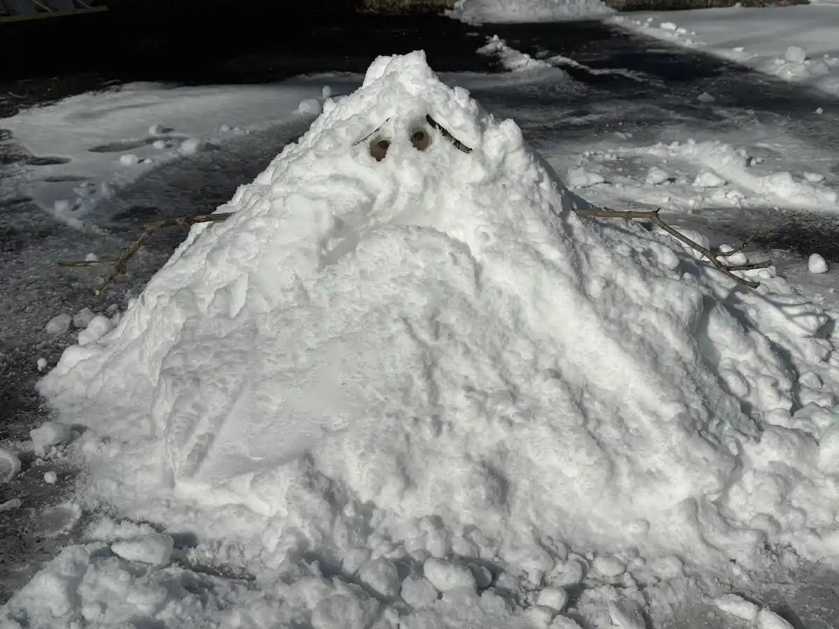 A crudely made snow pile shaped like a ghost, with two walnut halves as eyes, twig eyebrows, and twig arms, sits on a snowy…