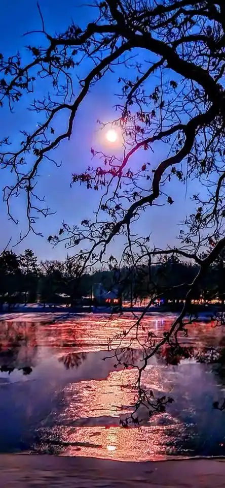 Breathtaking Sunset Moments