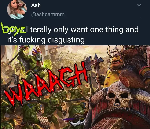 A screenshot of a tweet by Ash (@ashcammm) with overlaid text reading 'boyz literally only want one thing and it's fucking…