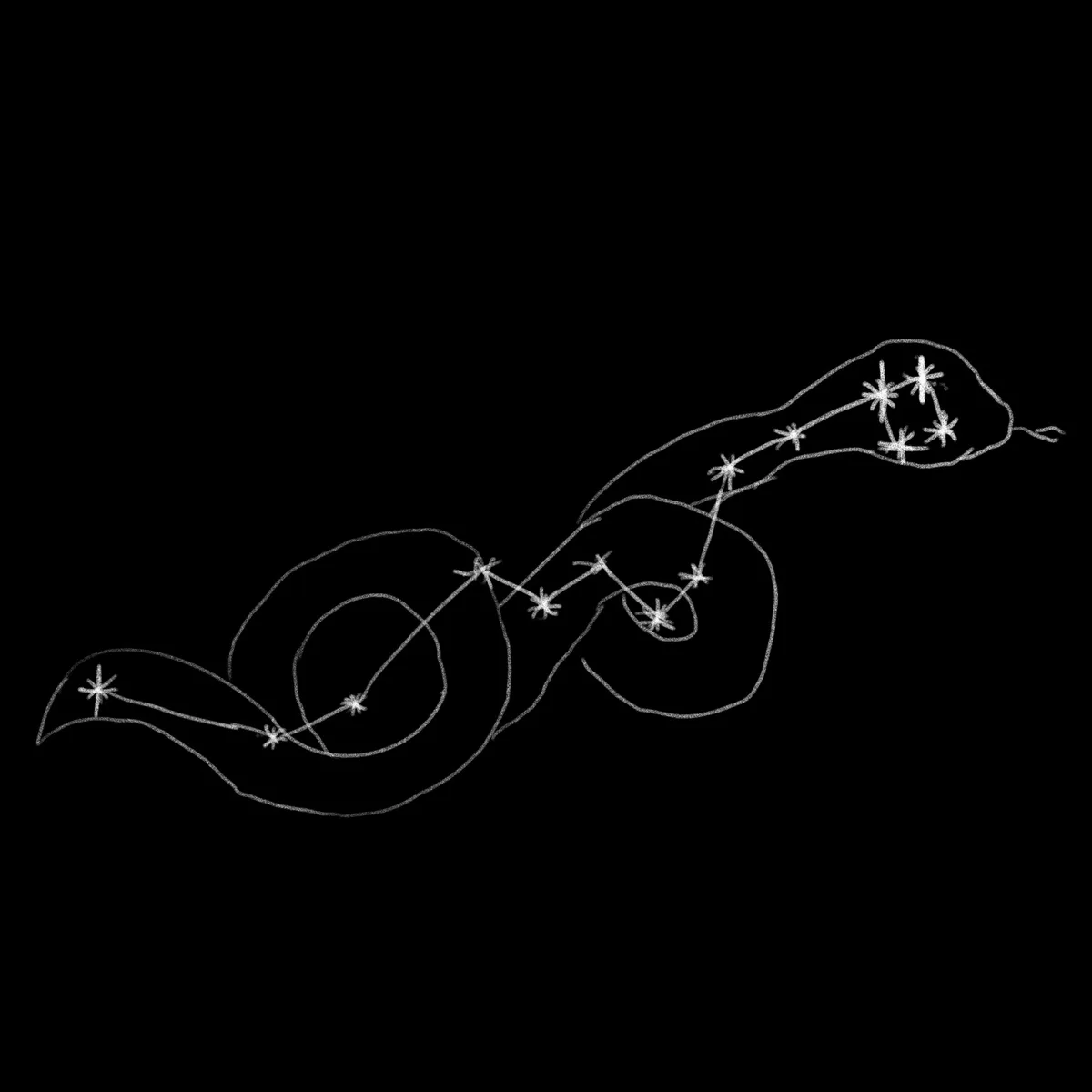 A black background features a white chalk-like drawing of a tangled, coiled snake with star-shaped markings along its body…