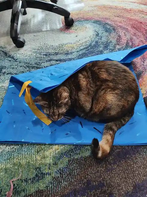 A tortoiseshell cat is curled up and sleeping inside a blue shopping bag with a yellow ribbon, lying on a colorful patterned…
