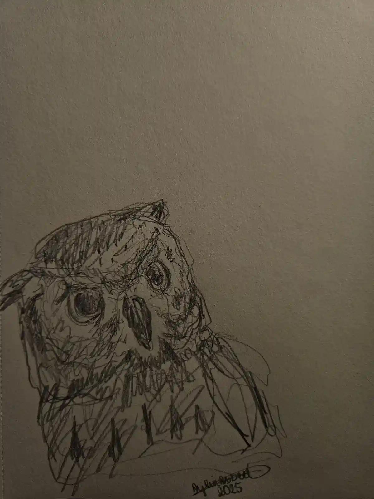 A rough, sketchy pencil drawing of an owl's head on textured paper, with visible scribbles and shading. The artist's…