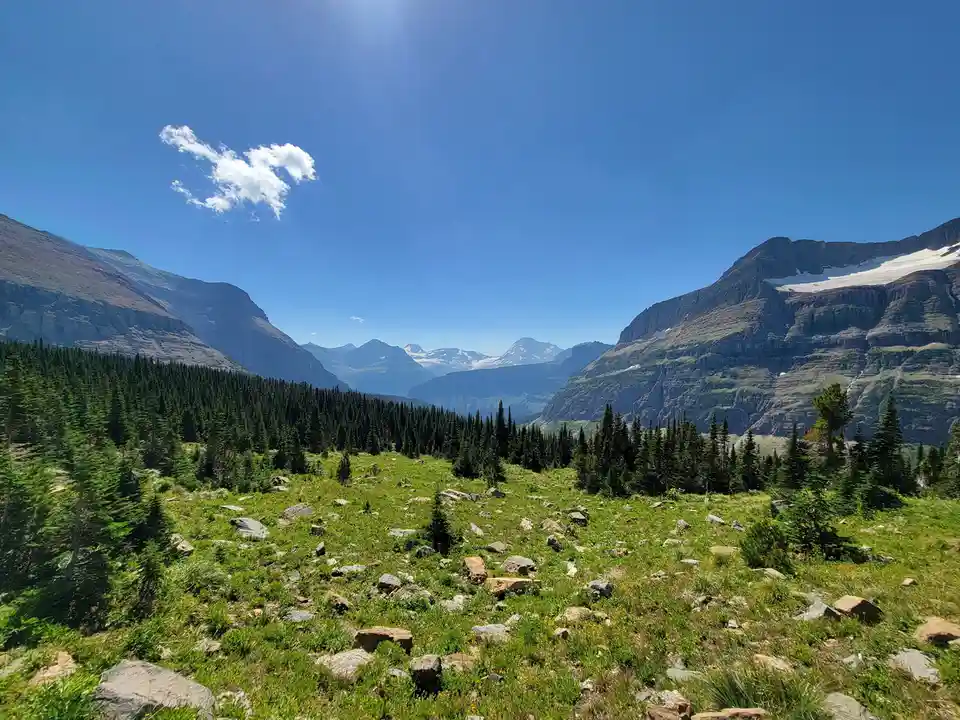 A scenic mountain landscape with green grass, scattered rocks, dense pine forests, and snow-capped peaks under a bright blue…