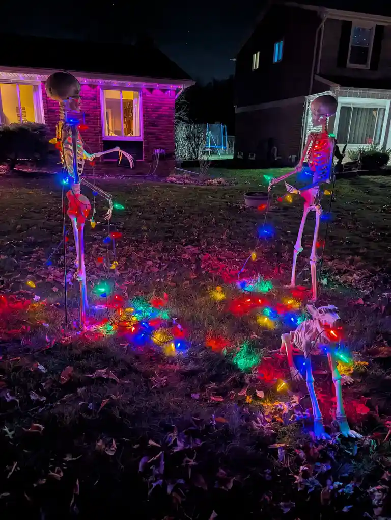 Putting Skeletons to Work: The Post-Halloween Hustle Begins