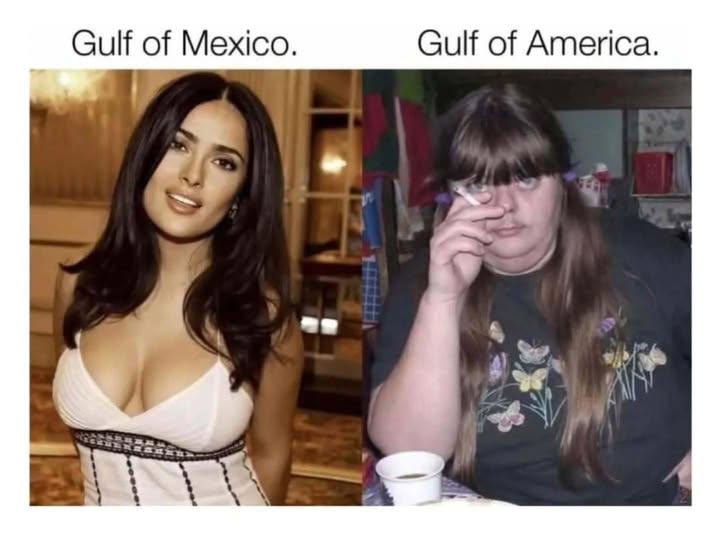 The image is a split-screen meme. On the left, a glamorous woman with long dark hair in a white dress is labeled 'Gulf of…