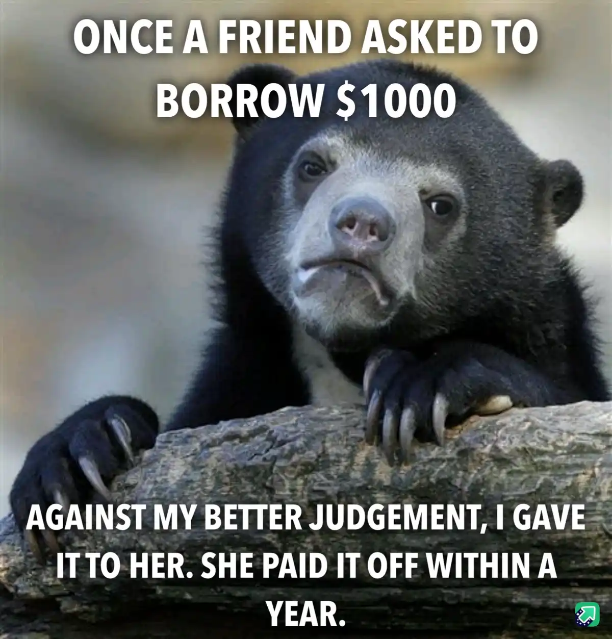 A close-up photo of a sad-looking, dark-furred bear with a downturned mouth, resting its paws on a log. White bold text…
