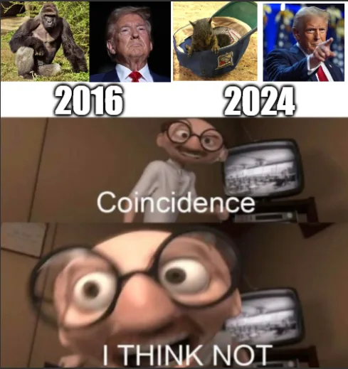 The image is a three-panel meme. The top row shows four photos: a gorilla, Donald Trump, a squirrel in a hat, and Trump…