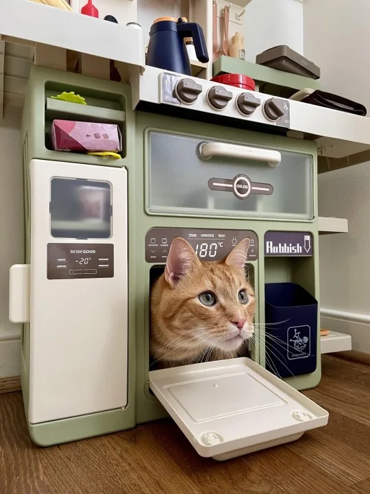 An orange tabby cat with wide eyes peers out from the open oven door of a child's green play kitchen set. The oven's digital…
