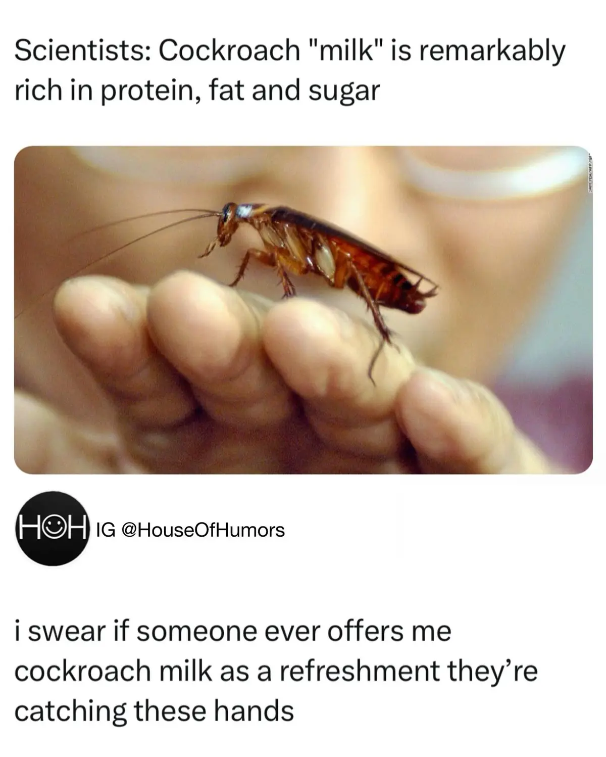 A close-up photo shows a brown cockroach standing on a person's open palm. The image is overlaid with text at the top…