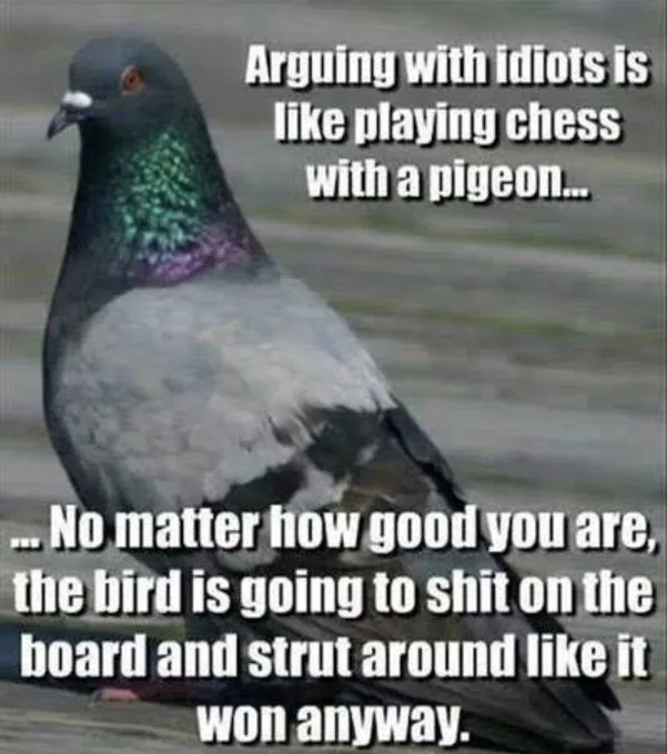 Arguing with fools is like playing chess with a pigeon - you can't win!