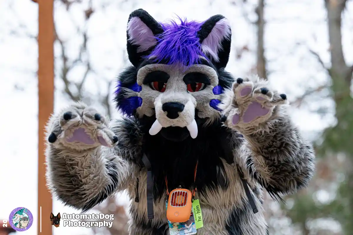 A person in a detailed fursuit of a wolf-like creature with black, grey, and purple fur, red eyes, and white fangs, raises…
