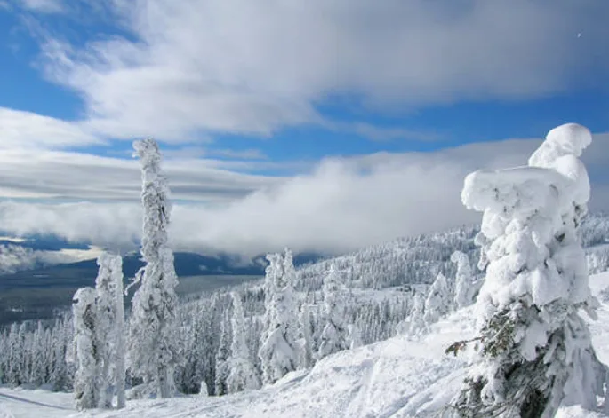 A snowy mountain landscape with trees heavily coated in snow, under a partly cloudy blue sky. The overlaid text reads 'i'm…