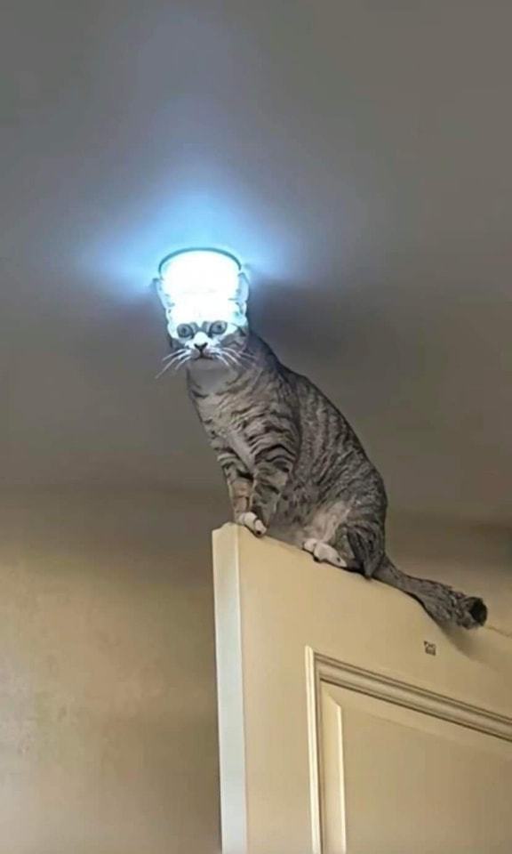 He's Got a Brilliant Idea!