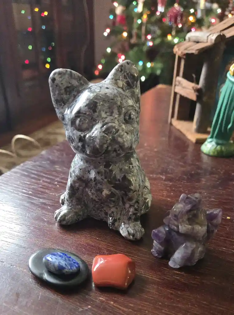 Meet My Adorable New Pet Rock!