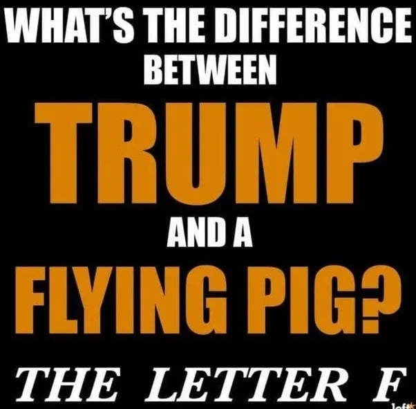 A black background with bold white and orange text poses a joke: 'WHAT'S THE DIFFERENCE BETWEEN TRUMP AND A FLYING PIG?'…