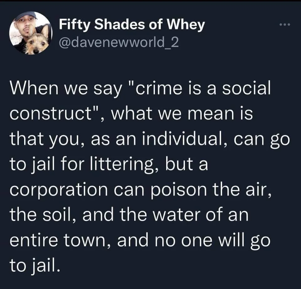 A screenshot of a tweet from 'Fifty Shades of Whey' (@davenewworld_2) with a profile picture of a man and a small dog. The…