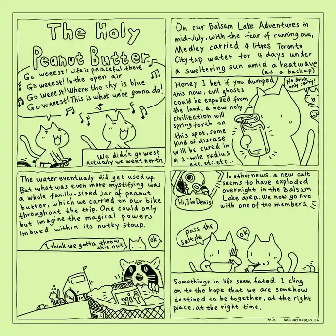 A comic strip by Melody Medley featuring cartoon cats and a raccoon recounting a bizarre camping trip. They sing about going…