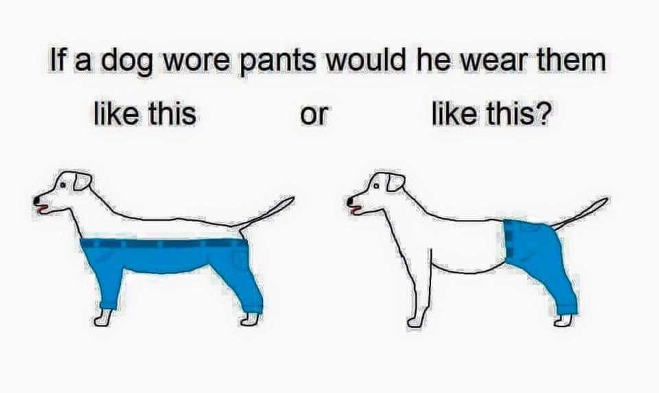 The image displays two simple line drawings of dogs side by side, each wearing blue pants. The dog on the left has pants…