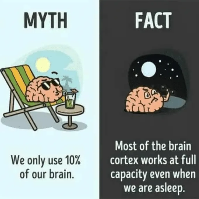 The image is split into two panels. The left panel, labeled 'MYTH', shows a cartoon brain lounging on a beach chair with…