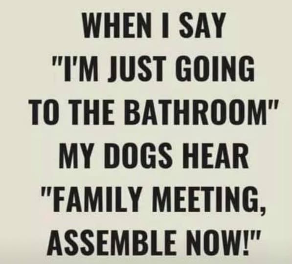 The image displays bold black text on a plain off-white background. The text reads: 'WHEN I SAY "I'M JUST GOING TO THE…