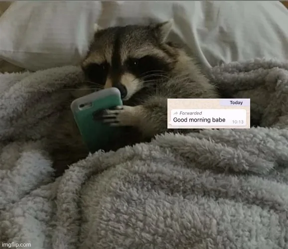A raccoon is lying in bed under a gray blanket, holding a teal smartphone as if texting. A mock text message overlay reads…
