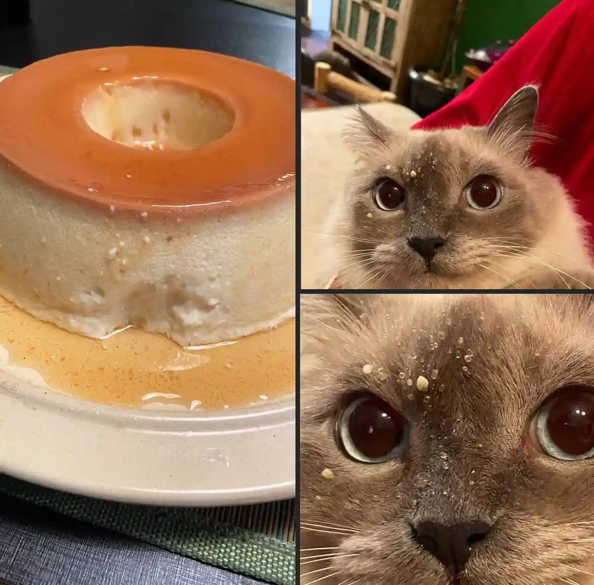 A three-panel image collage showing a caramel flan with a bite taken out, a cat wearing a red hat with caramel sauce on its…