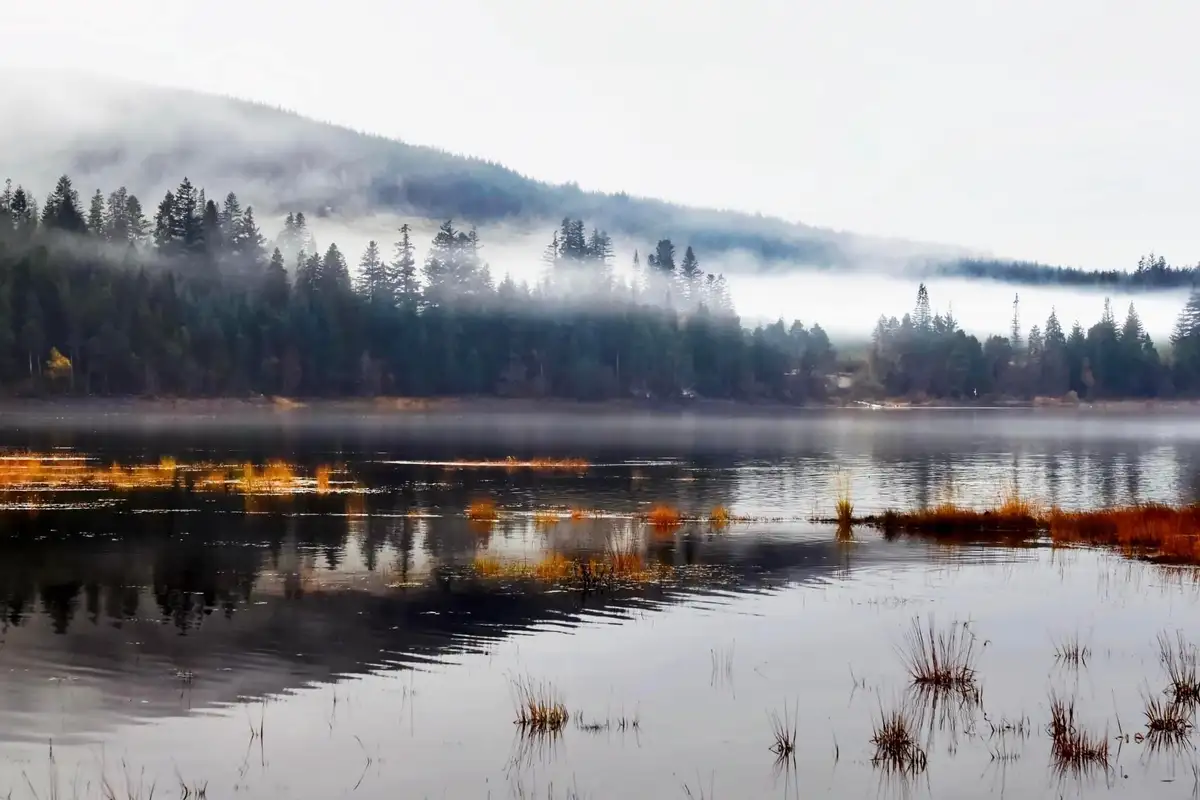 A serene, misty landscape featuring a calm lake with reflections of surrounding pine trees and fog-covered hills. Overlaid…
