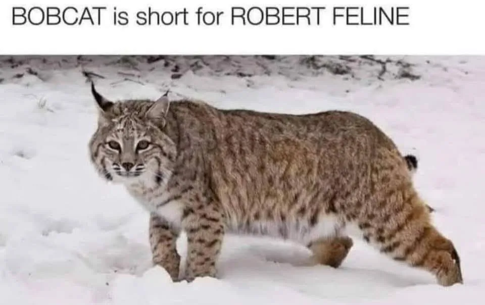25 Hilarious Reasons to Enjoy a Good Chuckle