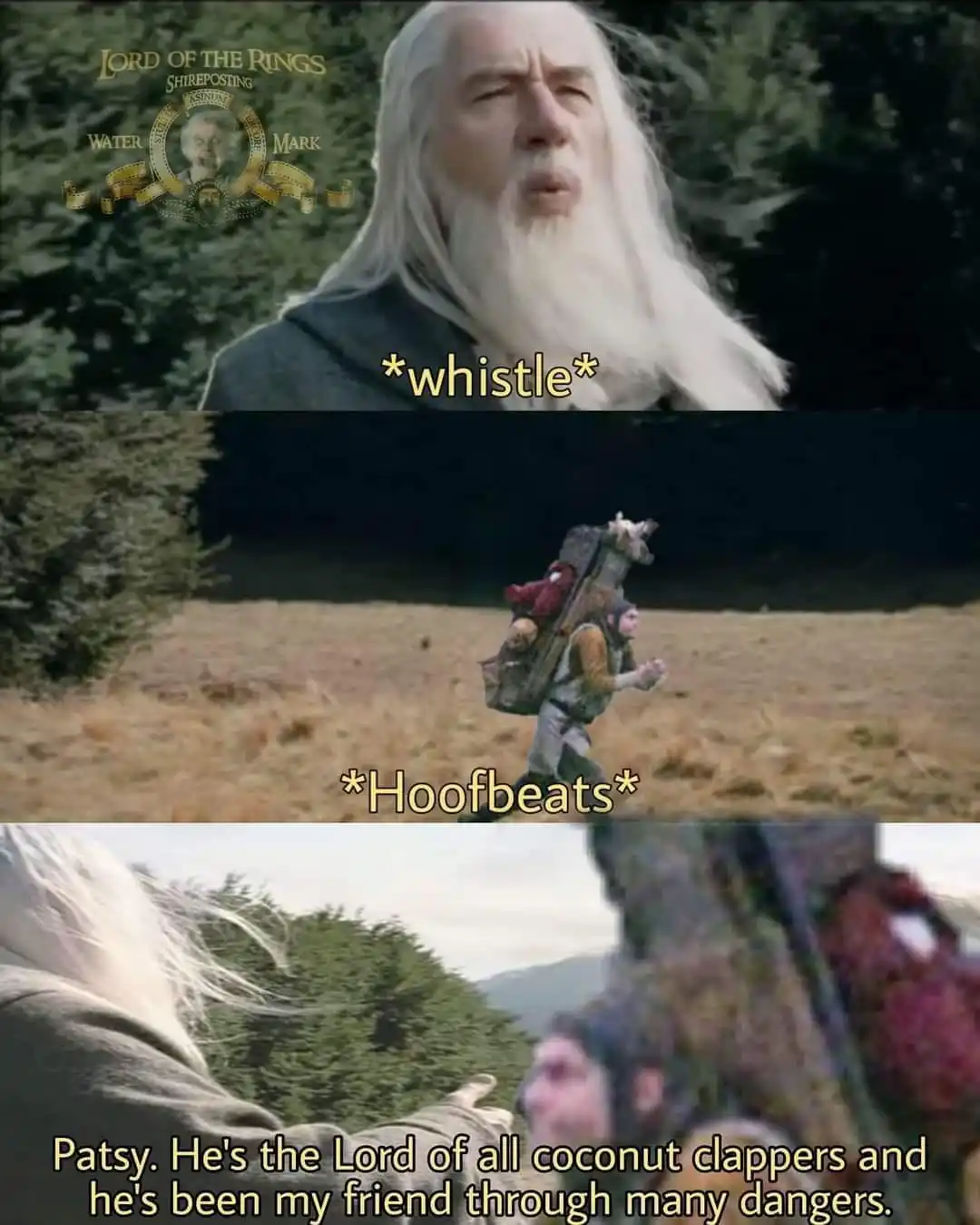 The meme features three panels from 'Lord of the Rings'. The top panel shows Gandalf with a 'LORD OF THE RINGS SHIREPOSTING…