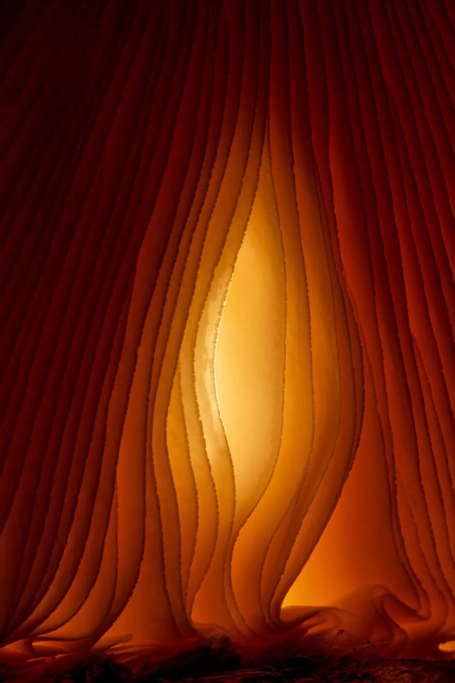 A close-up photograph shows translucent, pleated red-orange curtains with a bright, glowing yellow light shining through a…