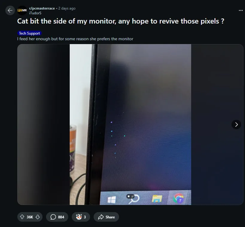 A screenshot of a Reddit post shows a damaged computer monitor with a visible bite mark on its side and scattered dead…