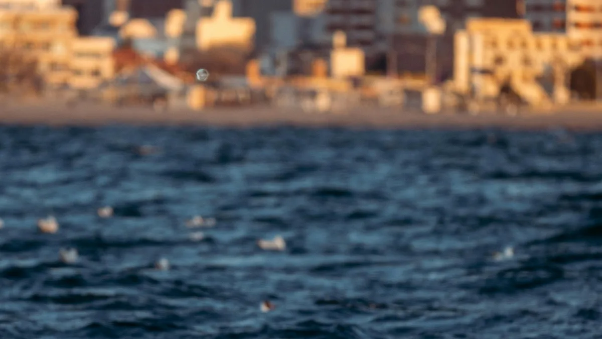 Vibrant sunsets paint the city skyline in warm hues, while a flock of flamingos glides effortlessly across the calm ocean…