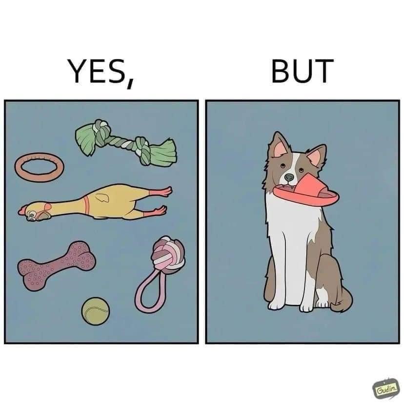 The image is split into two panels. The left panel, labeled 'YES,', shows various dog toys including a rope toy, a rubber…