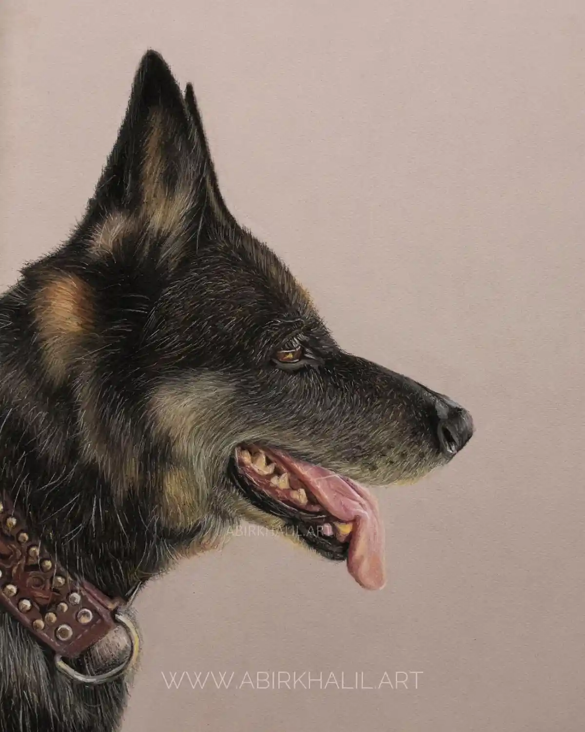 A detailed colored pencil portrait of a German Shepherd dog in profile, showing its alert ears, open mouth with tongue out…