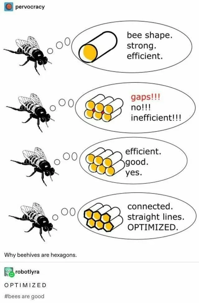 A four-panel comic shows a bee evaluating different cell shapes for its hive. It first considers a simple oval, then rejects…