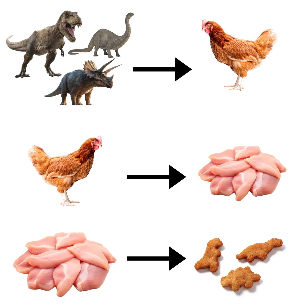 Delicious Dino Nuggets: A Tasty Treat!