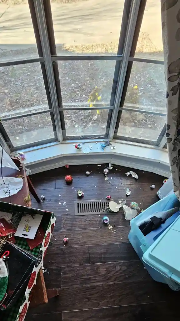 A messy room with broken and scattered christmas ornaments on a dark wood floor near a bay window. A blue storage bin and a…