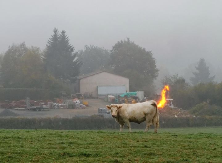 Fart Coin: The Hottest New Trend!