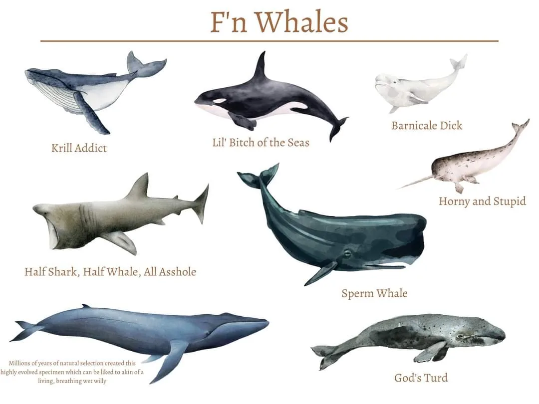 Whales: The F'n Majestic Creatures of the Sea
