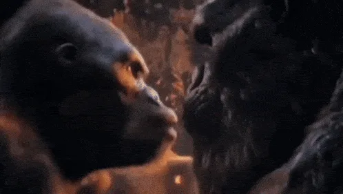 The image is a six-panel collage from the movie 'King Kong' showing a gorilla's escalating emotional states. The top row…