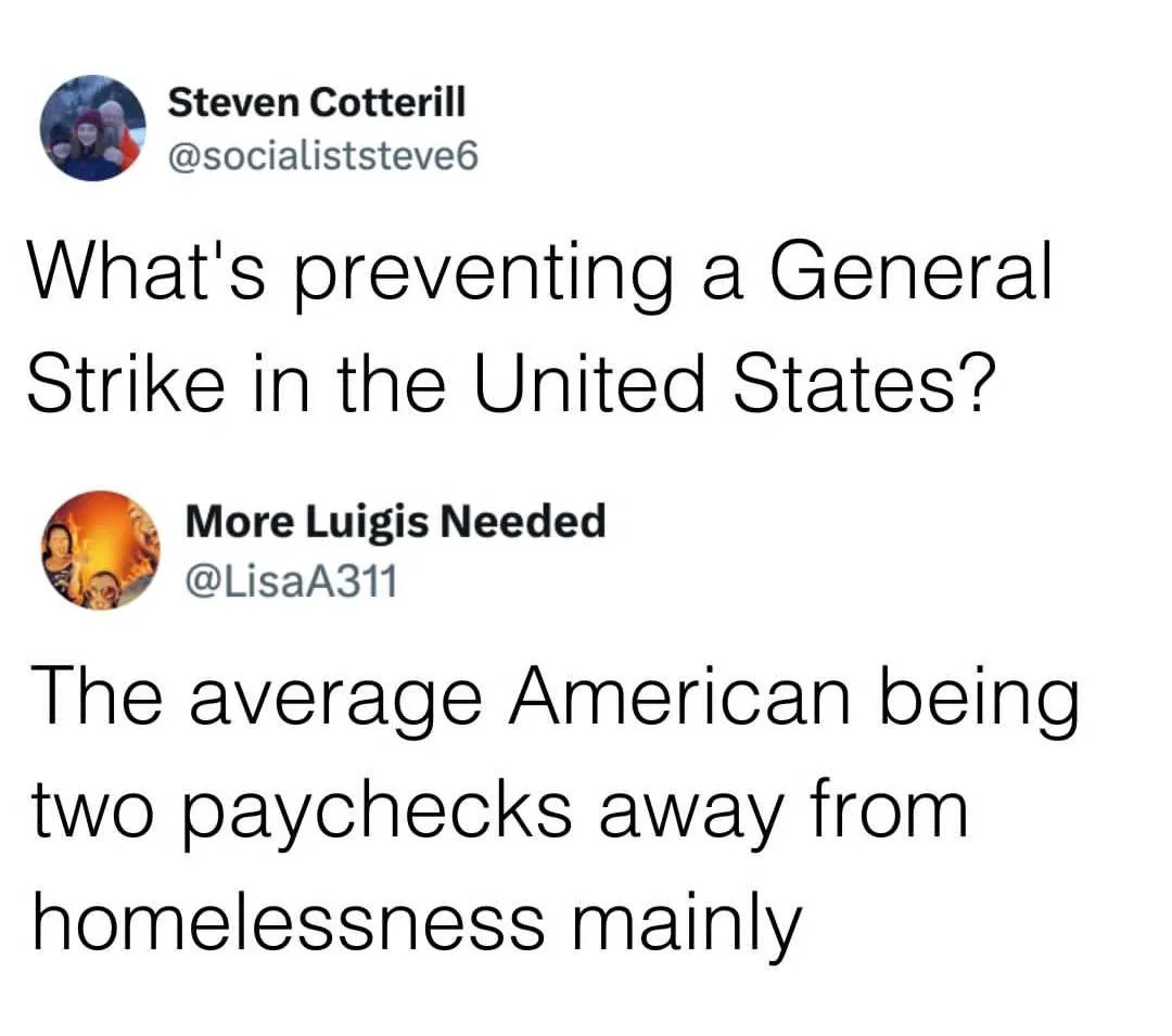 A screenshot of a Twitter thread showing Steven Cotterill asking what prevents a general strike in the U.S., and More Luigis…