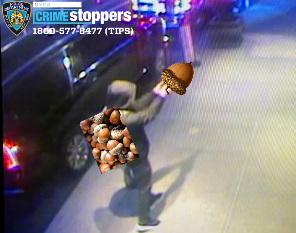 A blurry security camera image shows a person walking near a car at night, overlaid with NYPD Crime Stoppers branding and…