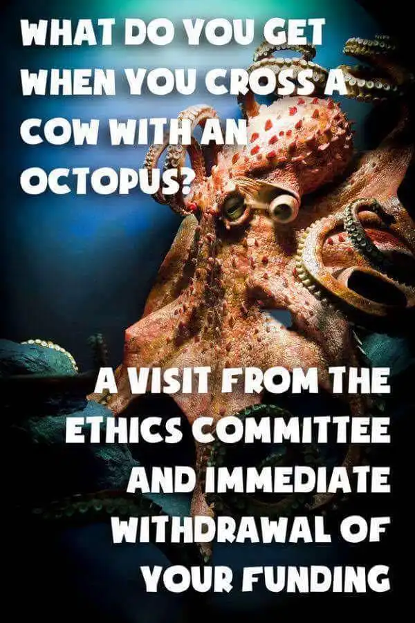 A close-up image of a large, reddish-brown octopus with prominent suckered tentacles and large eyes, set against a dark blue…