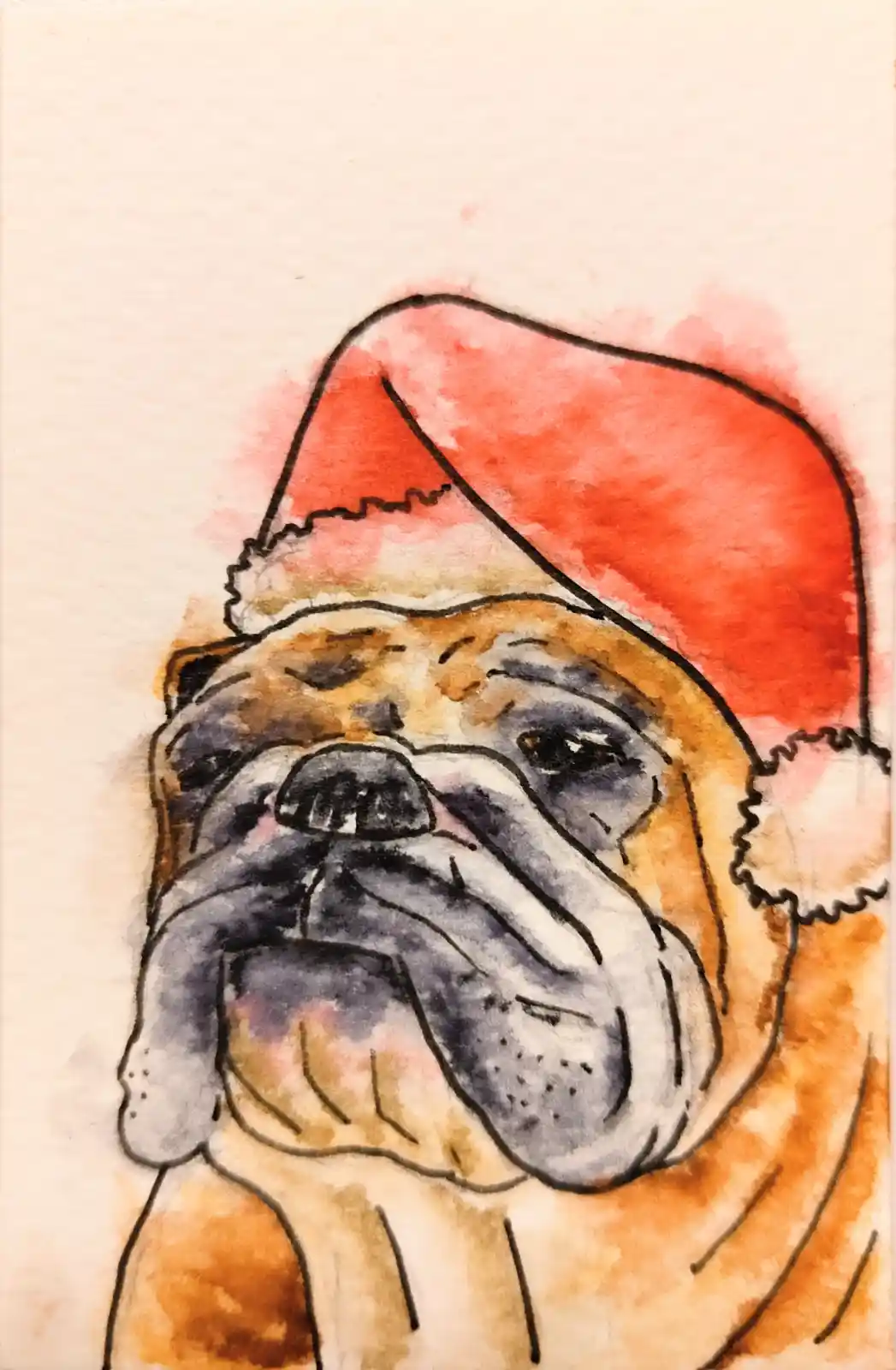 A watercolor illustration of a bulldog wearing a red Santa hat with white trim and a pom-pom, looking directly at the viewer…