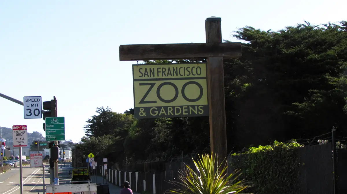 A photo of the San Francisco Zoo & Gardens entrance sign, mounted on a wooden post, with a street scene including traffic…